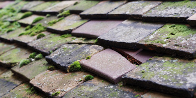 Eyeworth roof repair costs